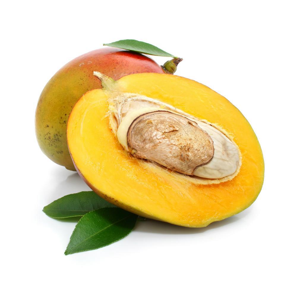 NATUREA - PUREA DI MANGO KG.1, Elenka, busta da 1 kg.