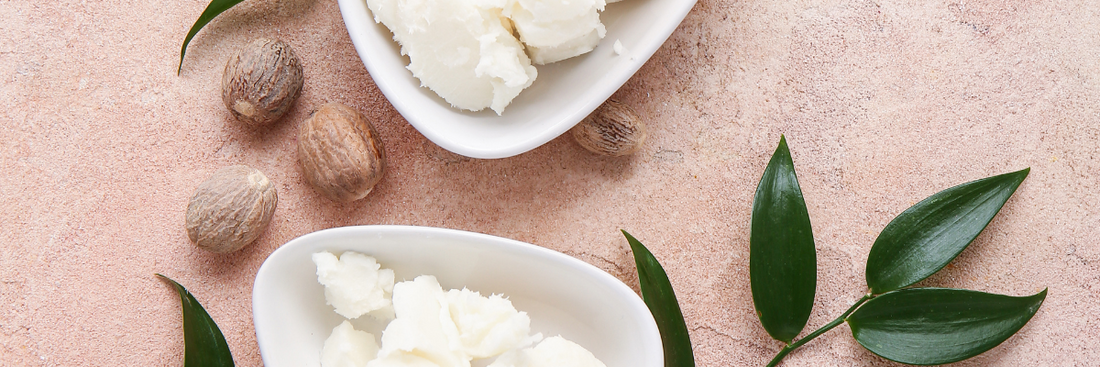 What is Shea Butter?