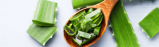 Healing with Aloe Vera