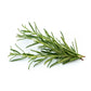 Rosemary, Spanish Essential Oil - Zalabi